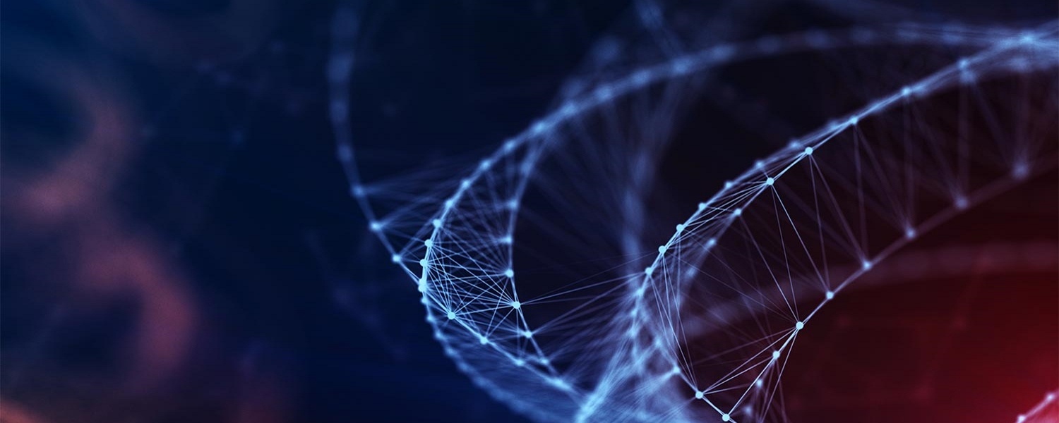 Team Duemila partecipa al progetto formativo M'Astri Nascenti Volfoni